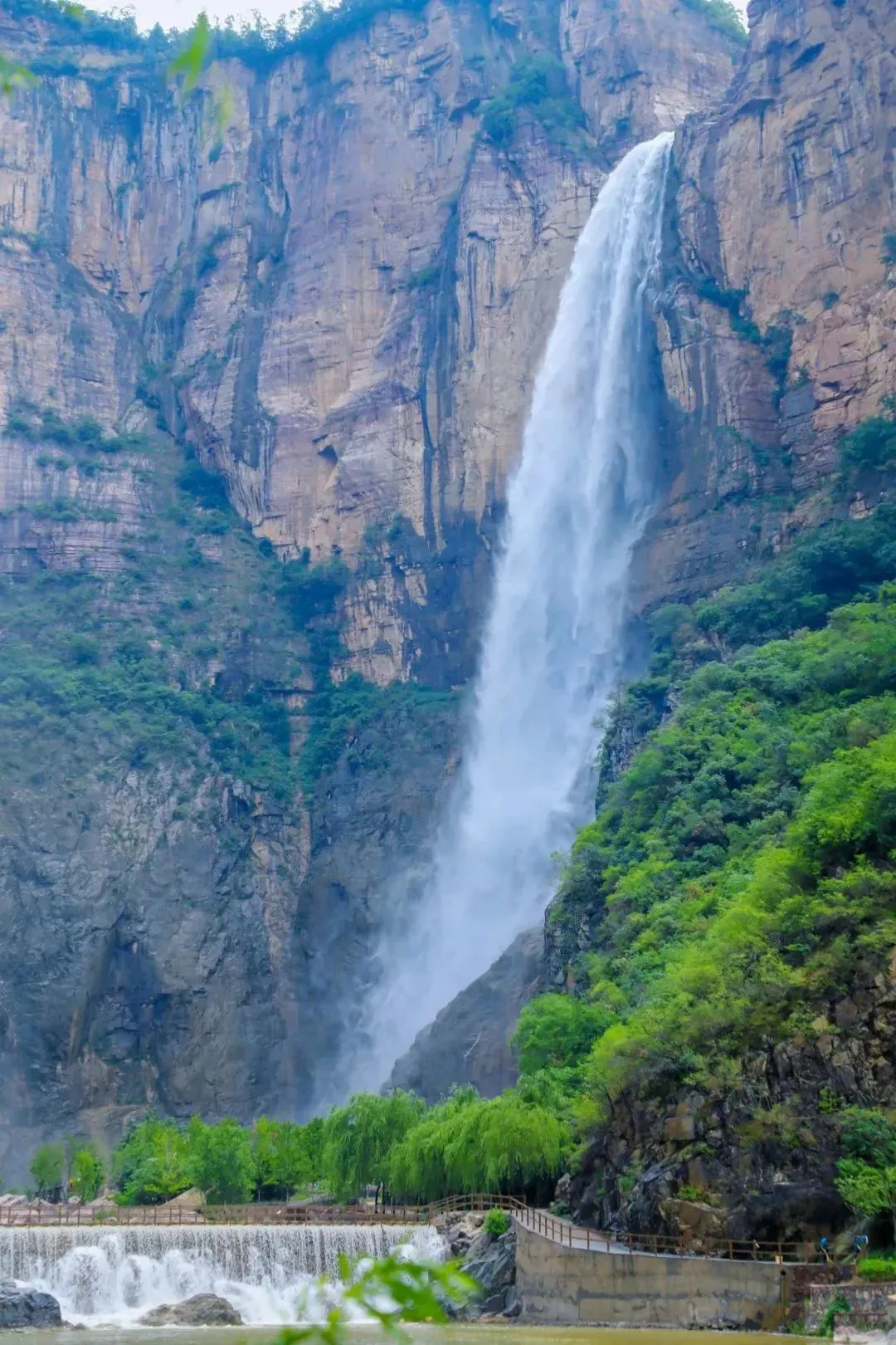 522ce068afdd714038feb110f88618d4-sz_301506