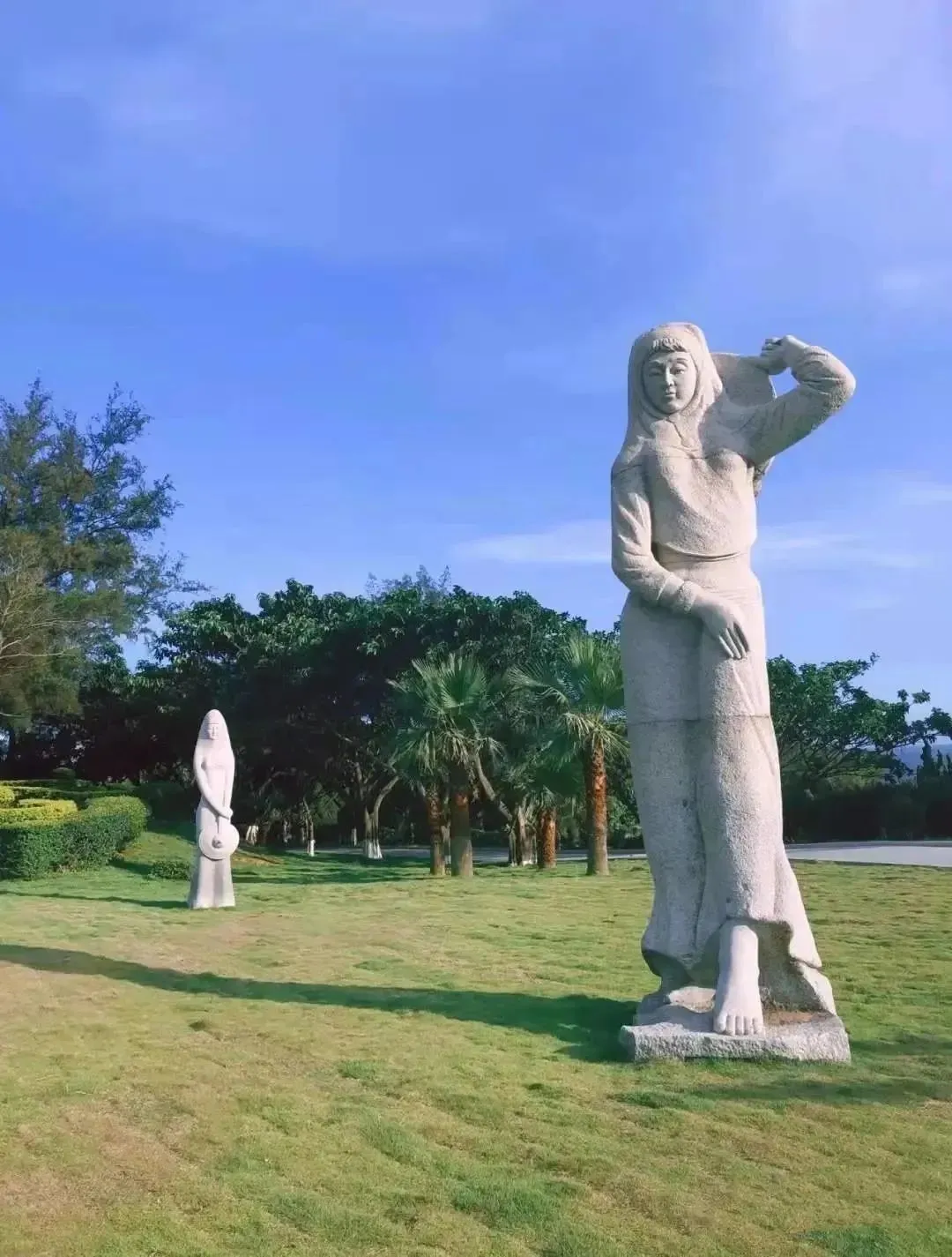 5235ab3e55fcdd42cb6666ede5f79423-sz_187766