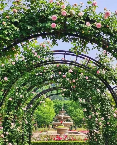 5251dece2986cc9895619f5ef97d2d4f-sz_694475