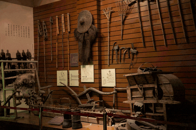 52771d848a3ae70ecf0b6178a0a2c3c2-sz_386623