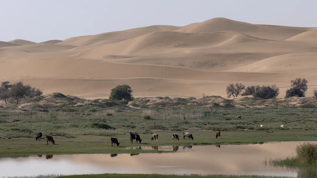 52eed95738b9427958acb1d8359bc840-sz_3934357