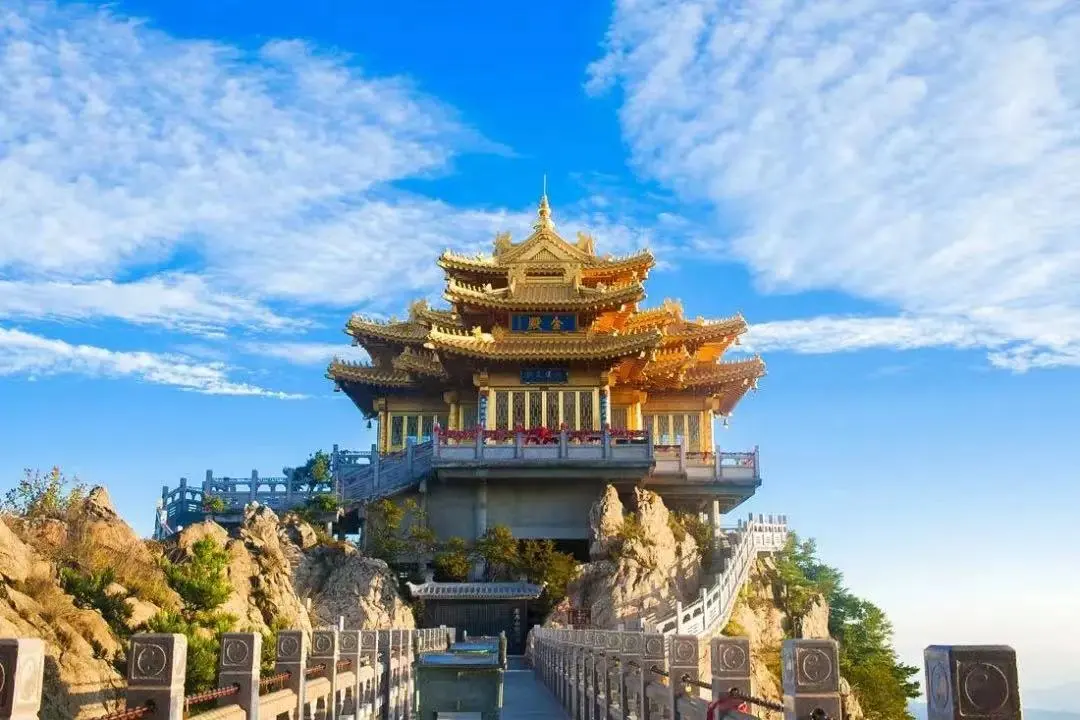 530686824be96403763716824484f936-sz_120294-3