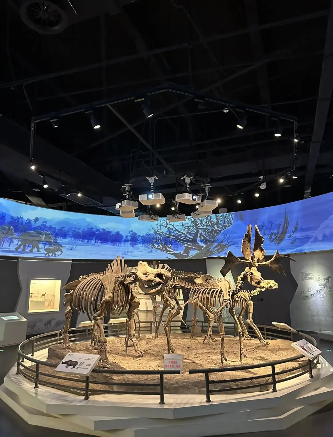 53147678bc5c871535ad2c1ac25a63fe-sz_319016