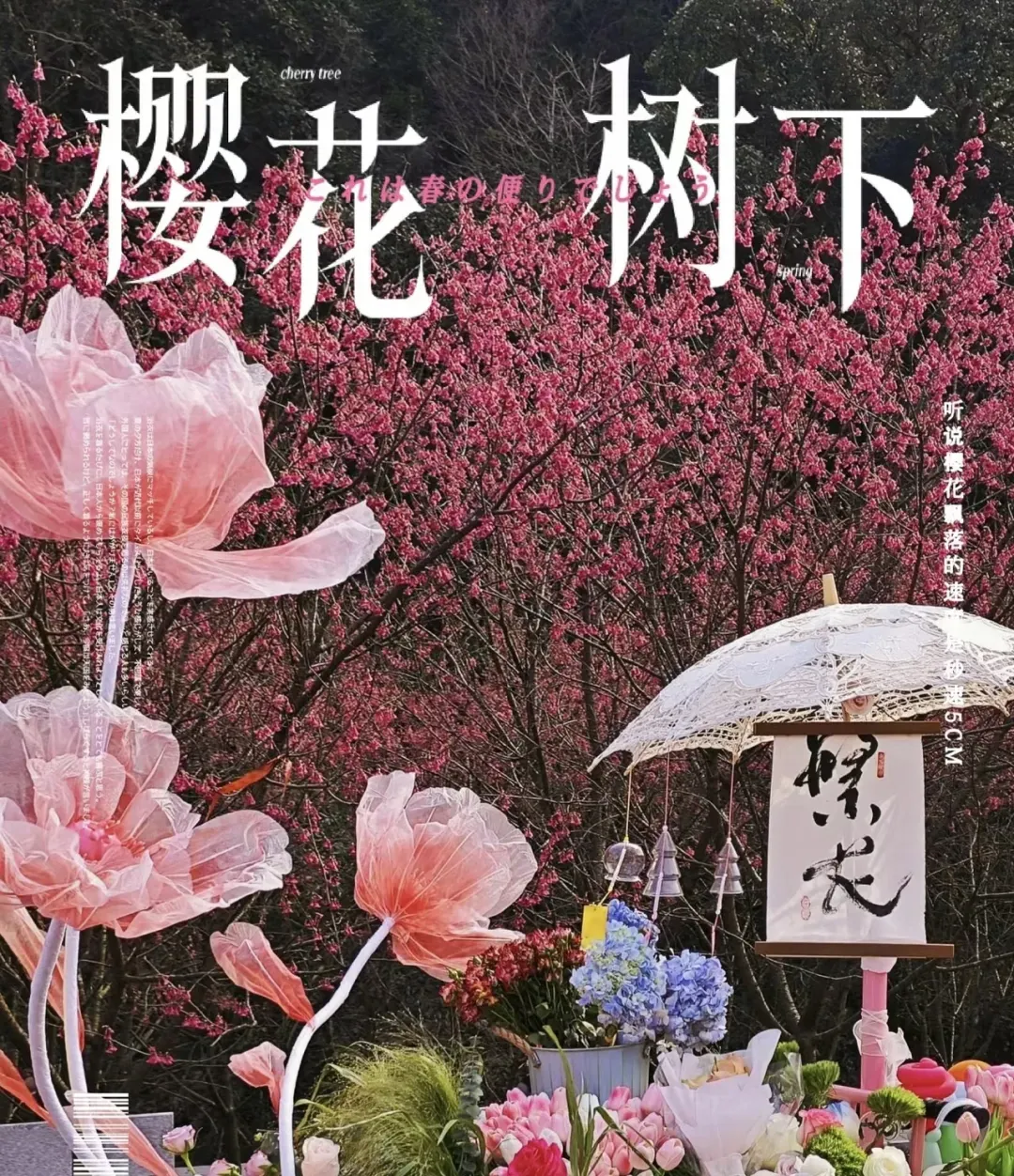 5340476c40b896e85aa61ece0340c1fa-sz_2676812