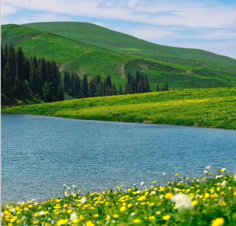 53947395d7850a793363617a91a4d68f-sz_1293878