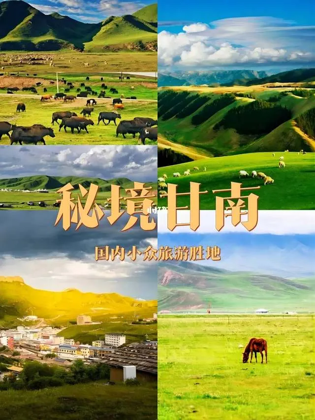 53b7e83c64ecd946dab70f76dd0ba32d-sz_842503