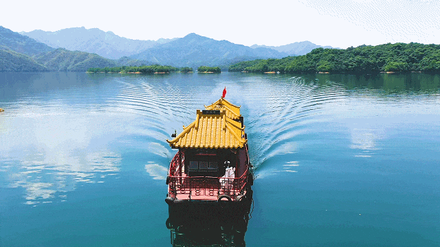 53f2fe6e2bb25c41cdd08a757c31cfe0-sz_1937802