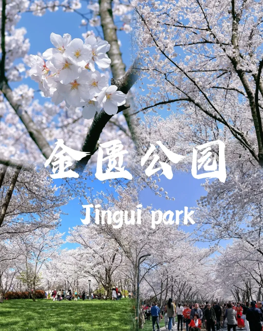 540829b5768590d6998146805c5ca7f7-sz_1608167-1