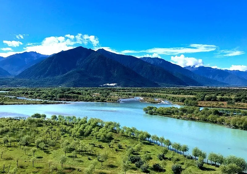 540f8ac877d996f34a6d494640798465-sz_1082674