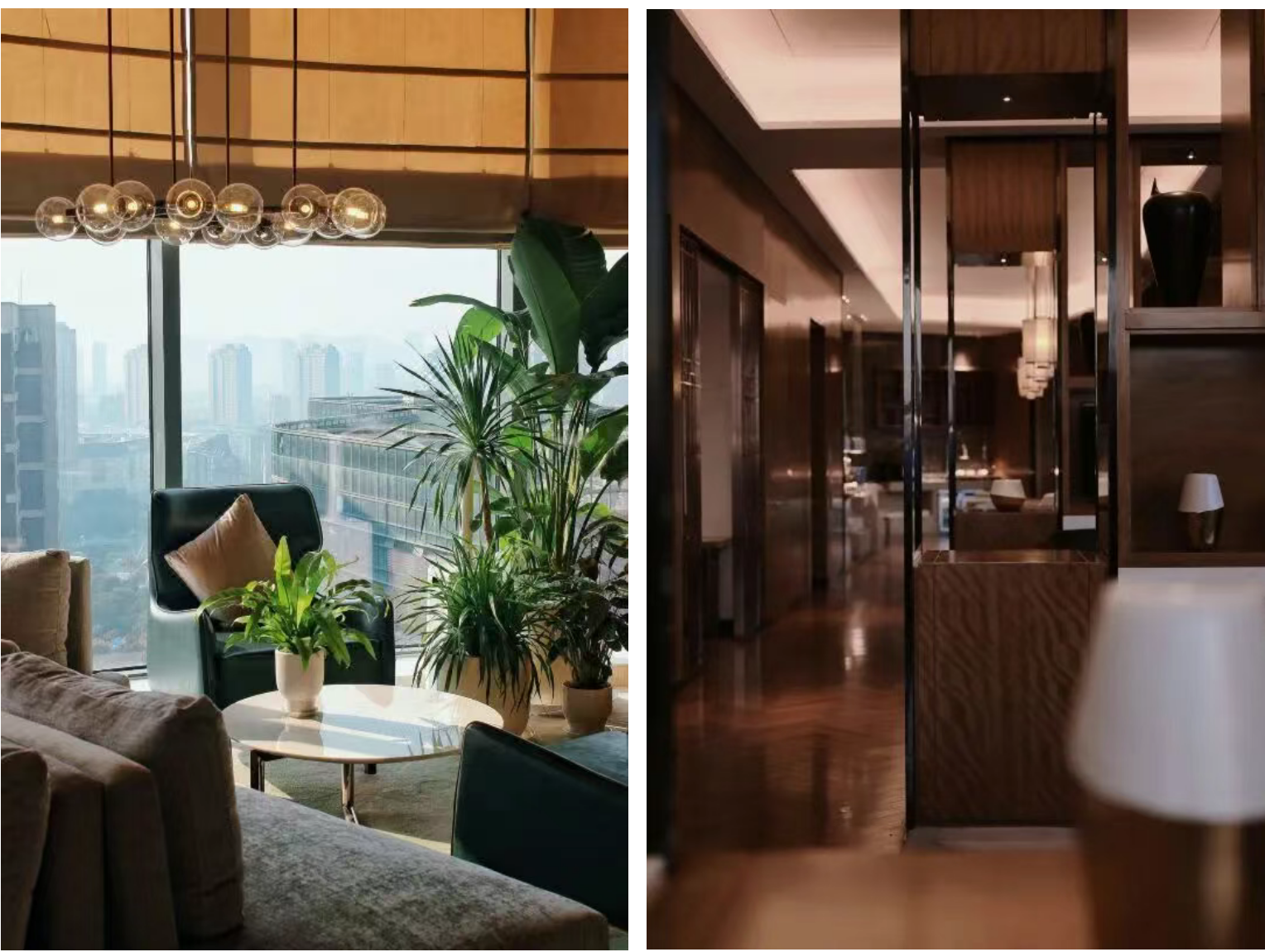 544cc65d57f944577eaa0f3c7a7329e1