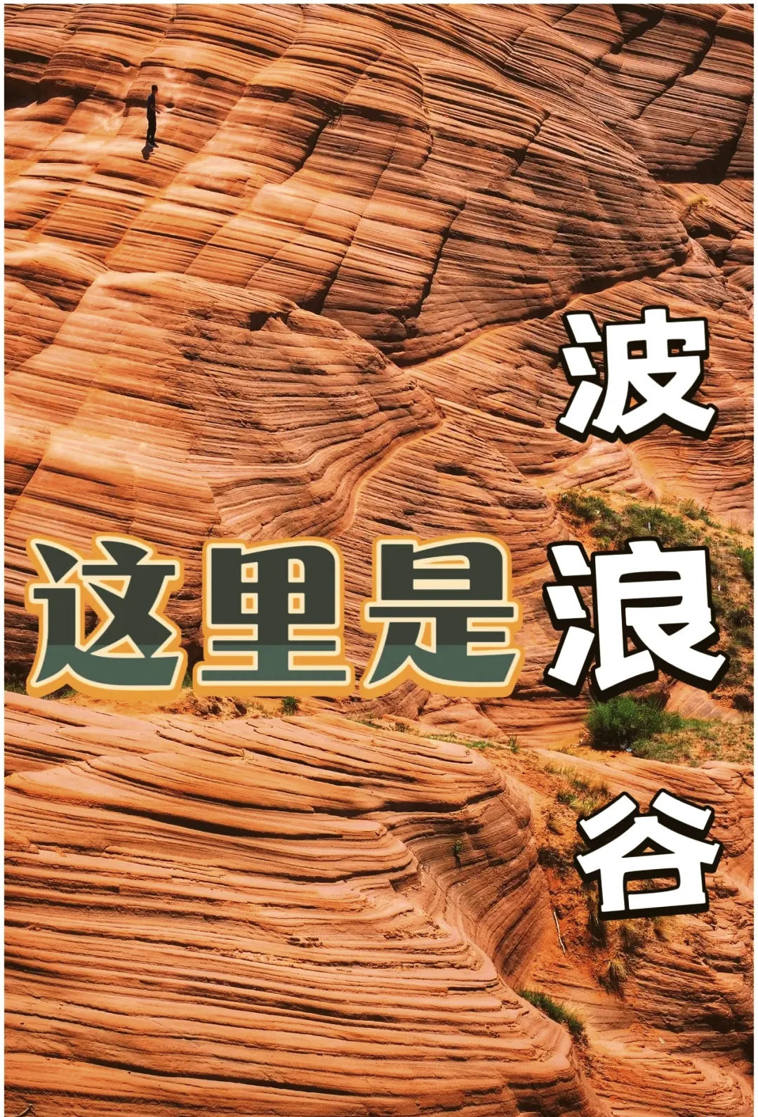 54e32d47c7845cecc77155caebd297c1-sz_3084317-3