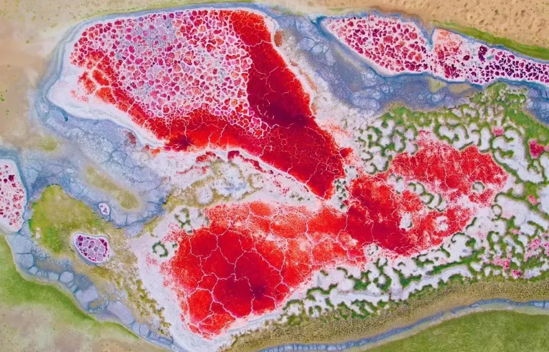 54ecf929b561940c870ac6ef45afd6e7-sz_509850