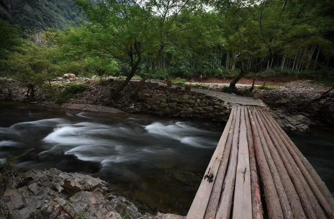 55395f06a75bee5f62676f652ccee8f5-sz_505591