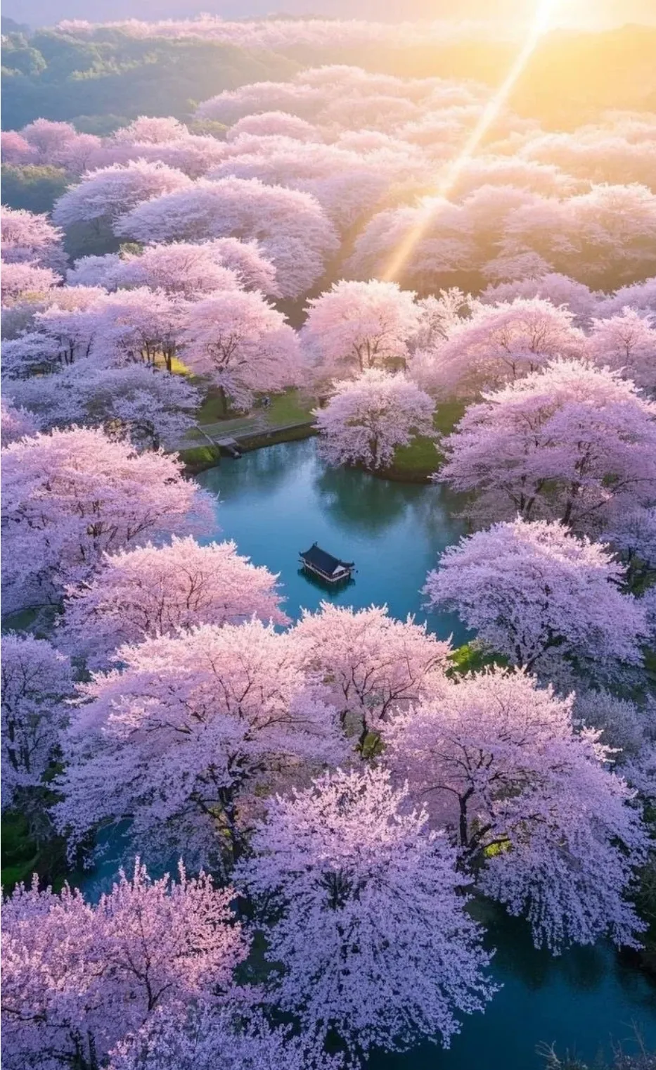 5555a29ee833f226c7a801e70636ce46-sz_1064167-1