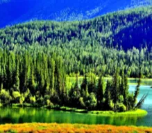 5590d42bf0cf59d094a80992b81c1f3f-sz_166683