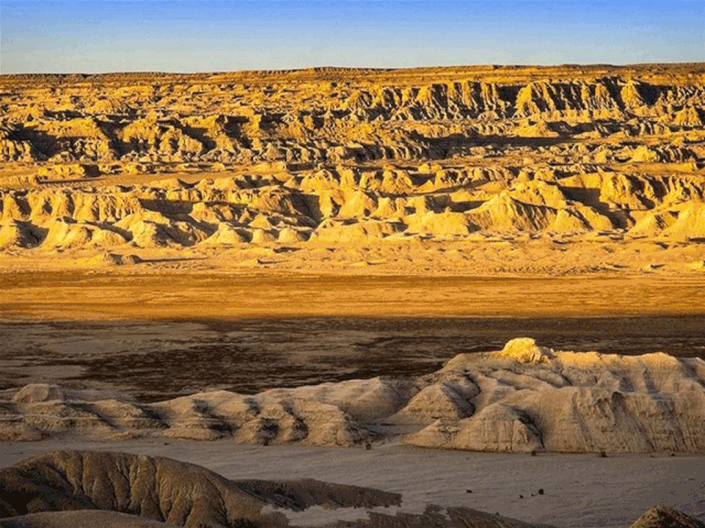 55f01d3a350b31feb0a2664ff15977a5-sz_406353-2