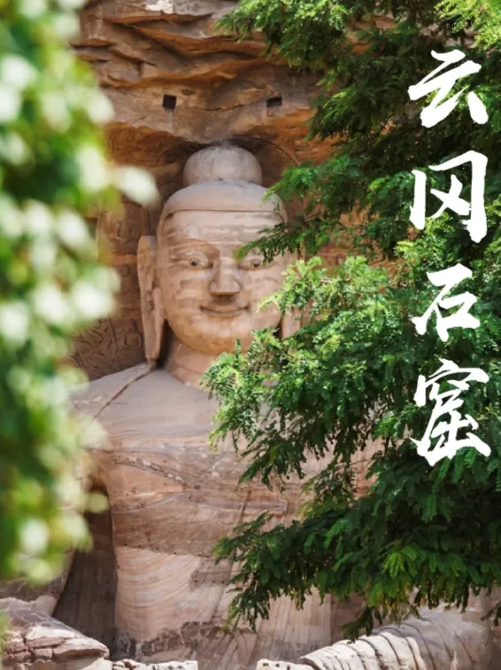 56c26bfb4fb3e50feb4119d462ccef03-sz_786238-2