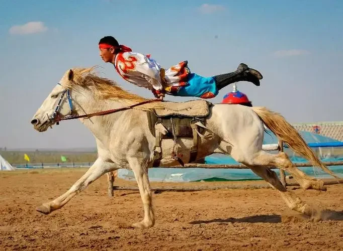 57487596f1a01a9b3be09be53af6c6d3-sz_63125