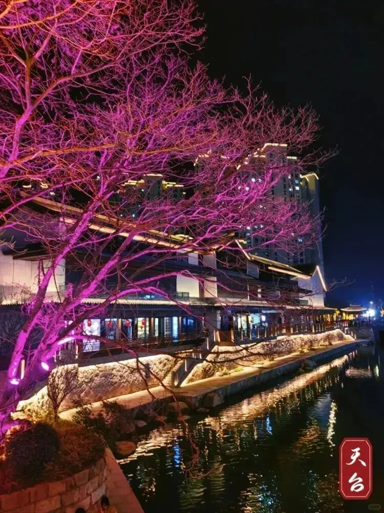 576ed60bddaac25e89c6da335876c732-sz_181628