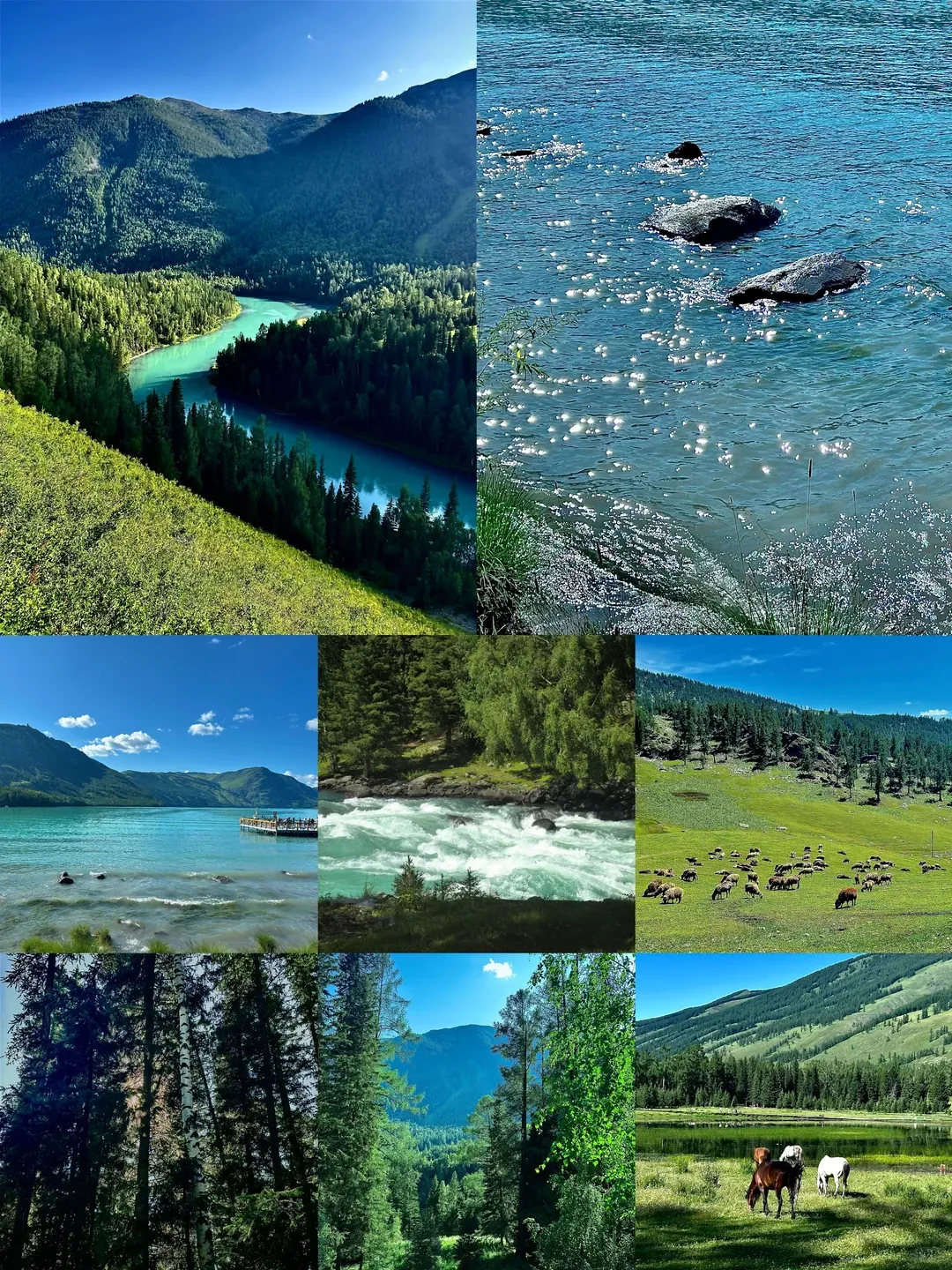 578b085a8b39b4fe626e9ee109f667f0-sz_3635029-1