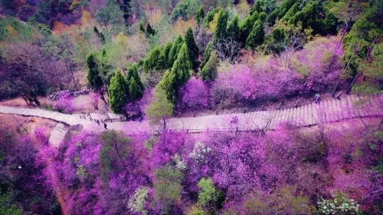 58d20cfe1c65c44ccfbec7b53ae9867b-sz_211382