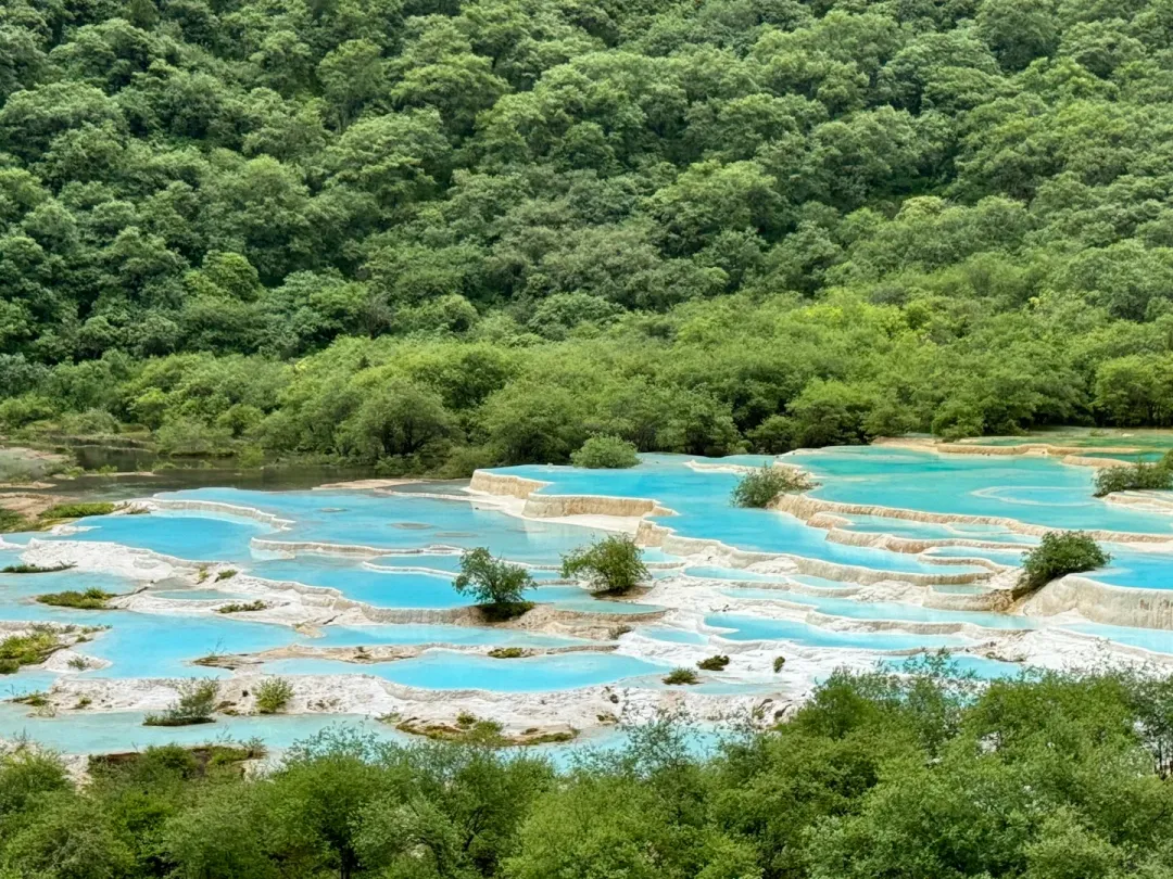 5951f51fd1f4dd81baca6e4dd64a1668-sz_3489855