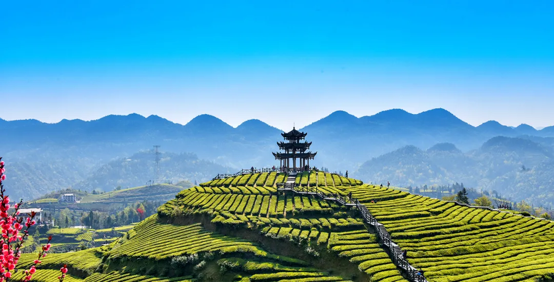 5979b88a157faedfee7a4c88453c4b8e-sz_1912826-2