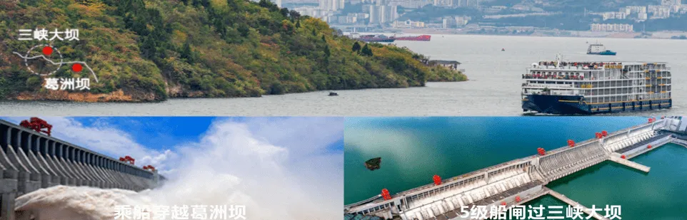 59aeec5039c6885fd57f9c22bc86a861-sz_162809