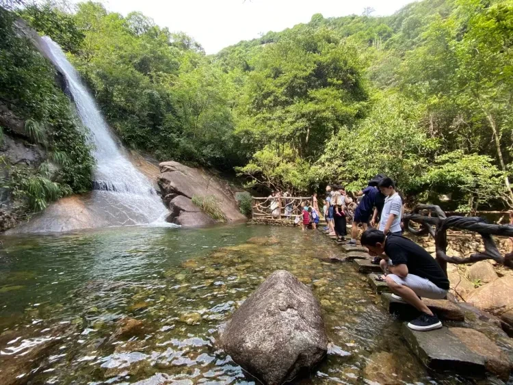 59d671bb874430fd84b2130bfbbfd145-sz_1414083