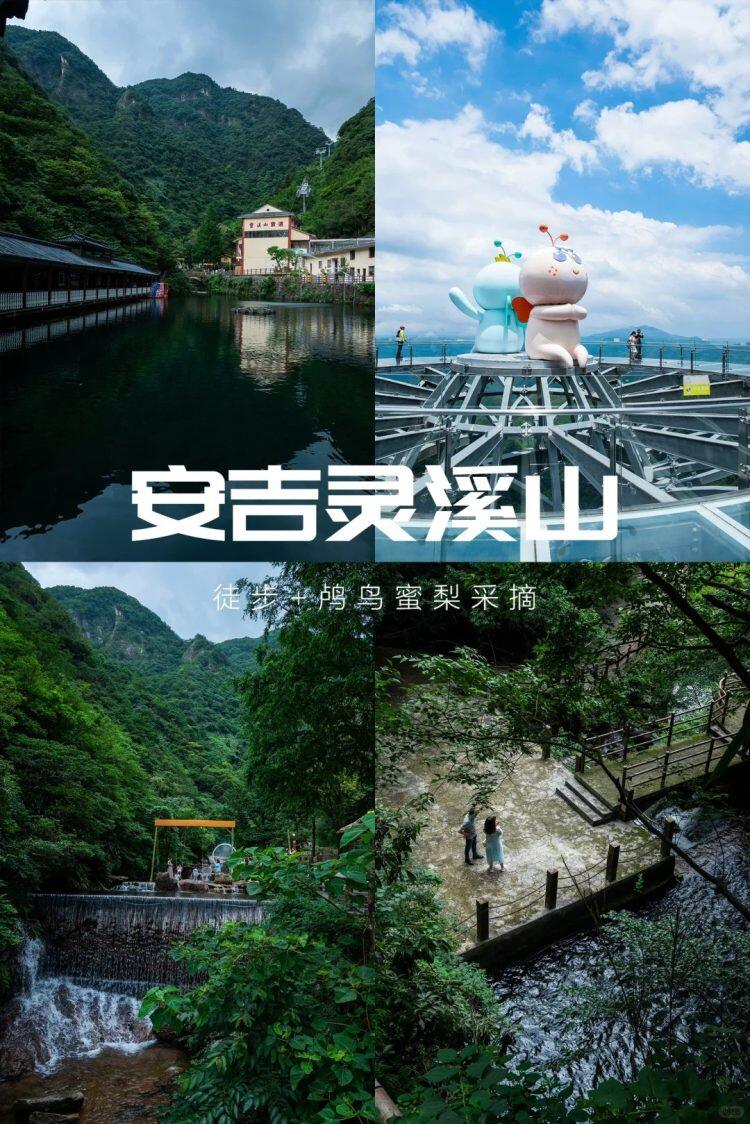 5SOM66Chj1ysPk6xyVVe_rljKTegWh6l