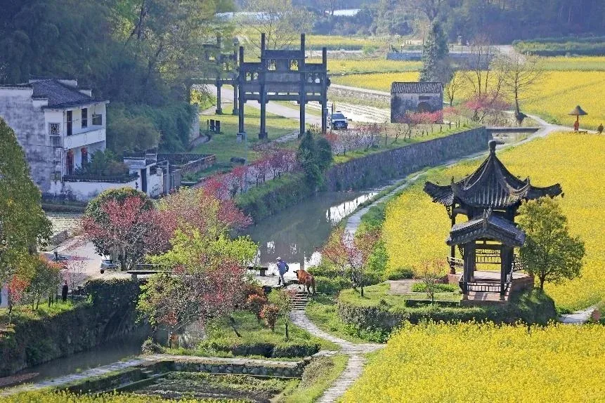 5a40e9962aa9257838dd3ecd099e7a0e-sz_218034