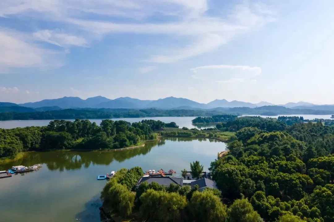 5a47f5fff7048465264956a8249d415d-sz_92089-1