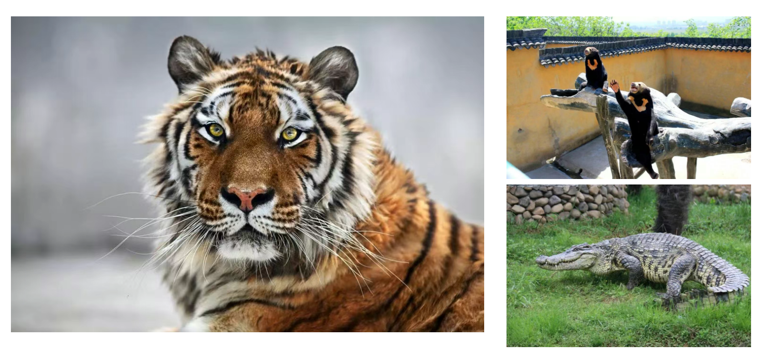 5ad4ef7bfbffa2dd76e9cea7a49af671