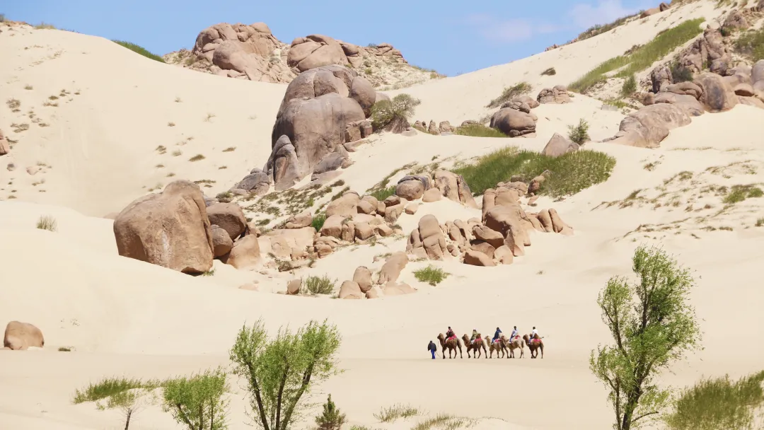 5af8a14f73b0342f3766b102533b79bc-sz_3513310