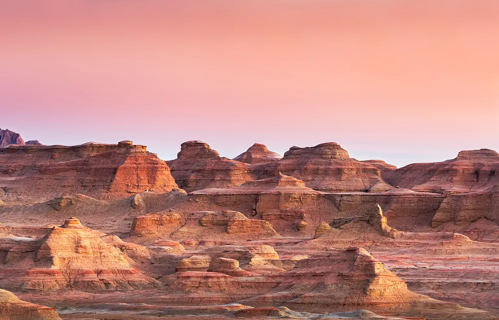 5b33168b9ece0a2b6eb9fbf556dde343-sz_778235