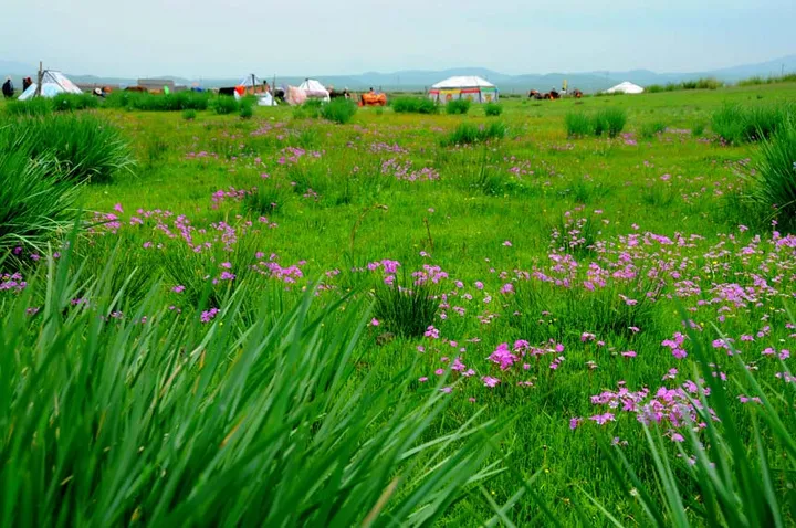 5b49c9a50eed09320b23cec6a284a1ca-sz_236153