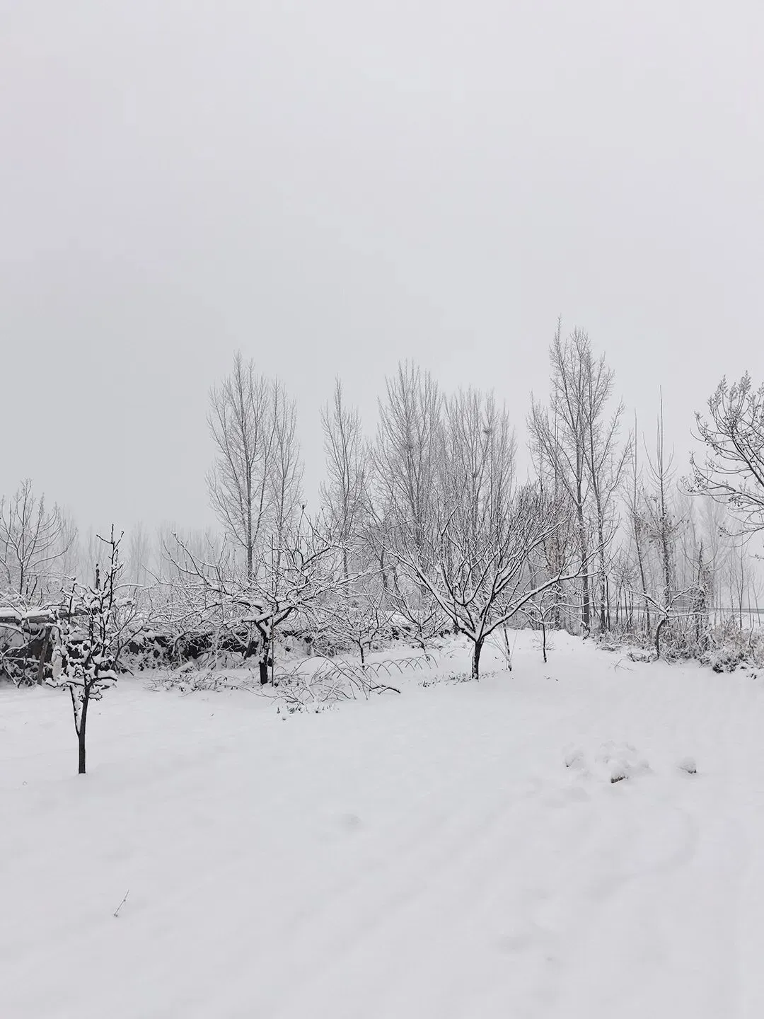 5b5f48b6872e9271c8c91f6521cabdbf-sz_176834