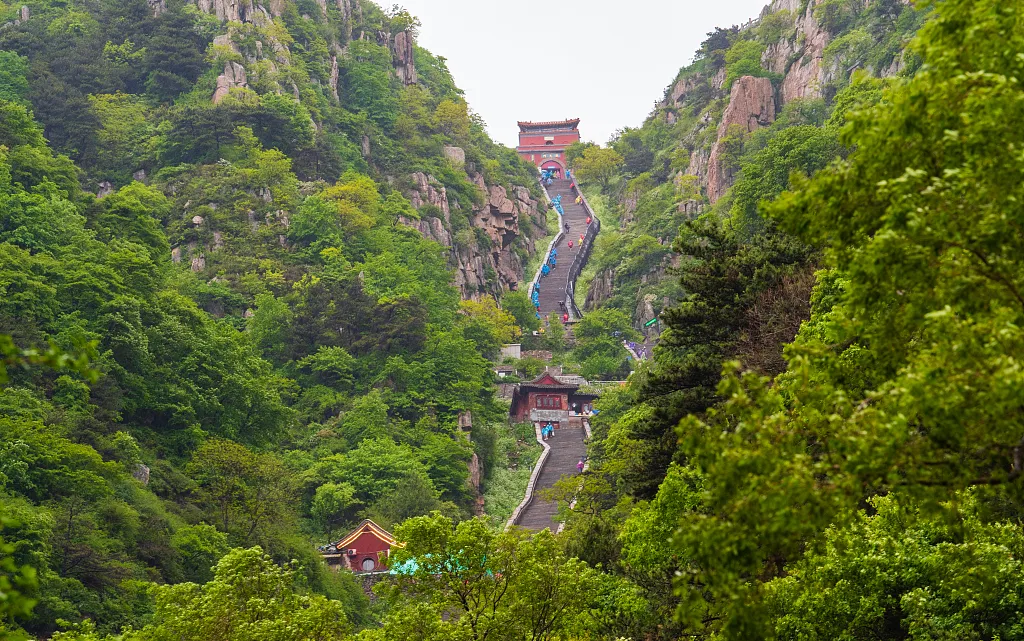 5ca337c4e5f4e9b33a57c23067e38007-sz_1183552