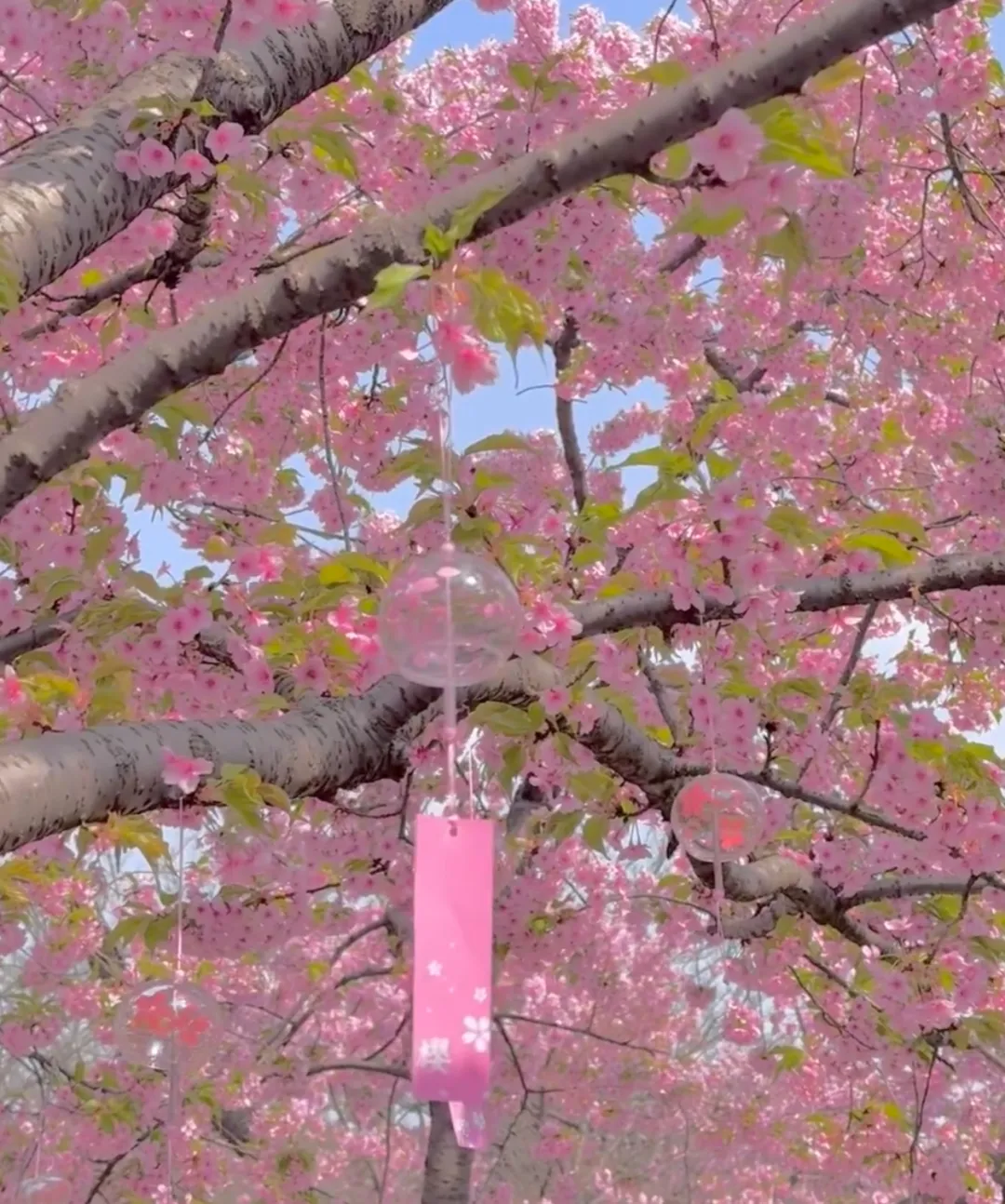 5d4f2e9fa5dac05811cc71d686654ba7-sz_1111020-1