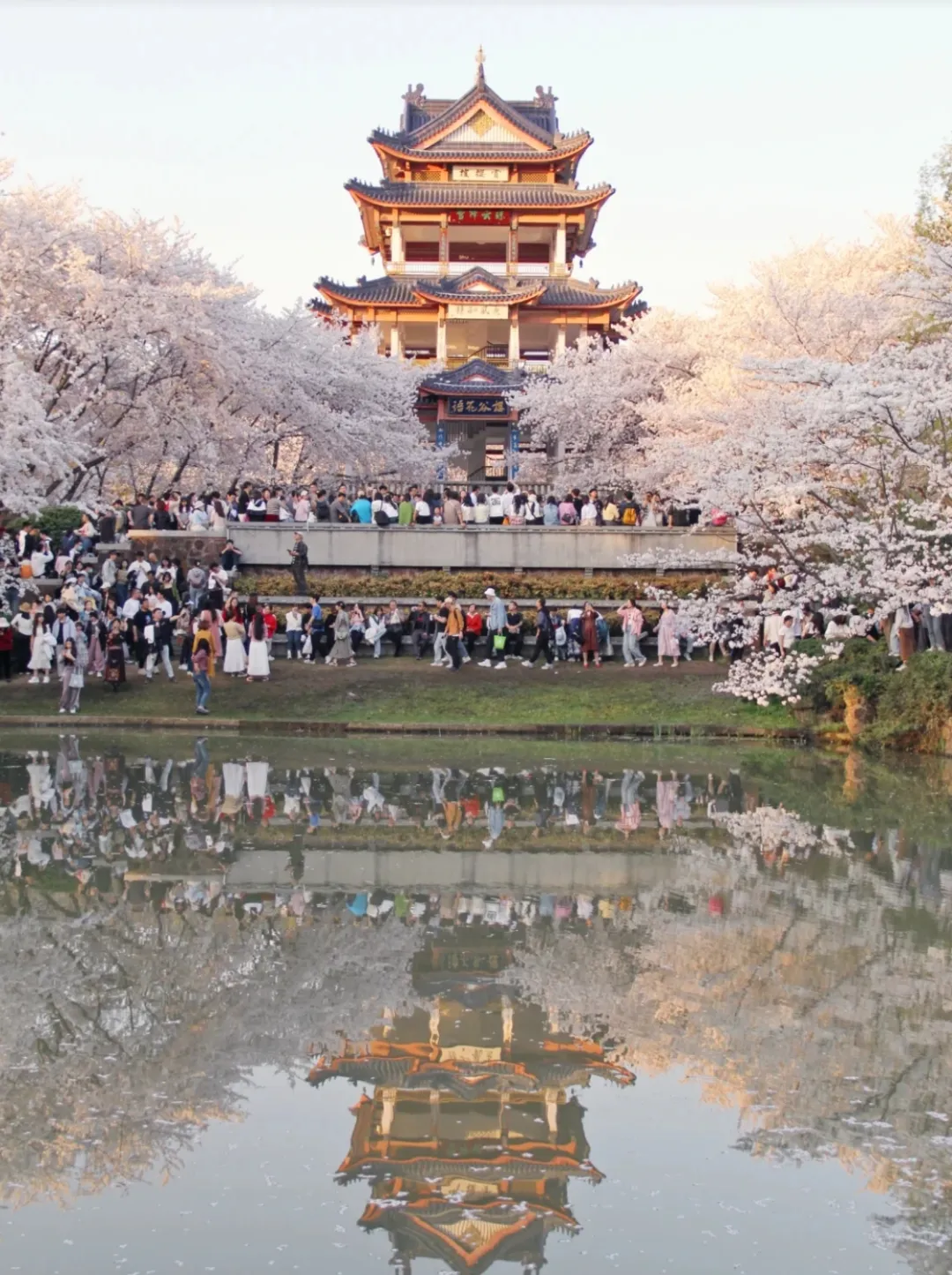 5d612a41662f98fa45f84bc86d4902b8-sz_1073020-2