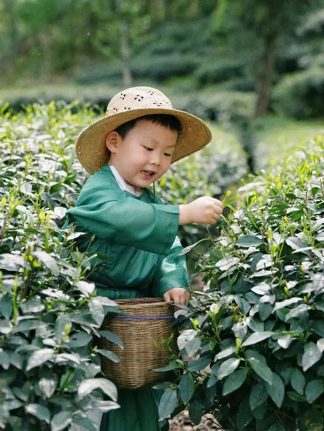 5e61bbaaf3e1aaa822ae6f6872409e49-sz_2651085 5e61bbaaf3e1aaa822ae6f6872409e49-sz_2651085