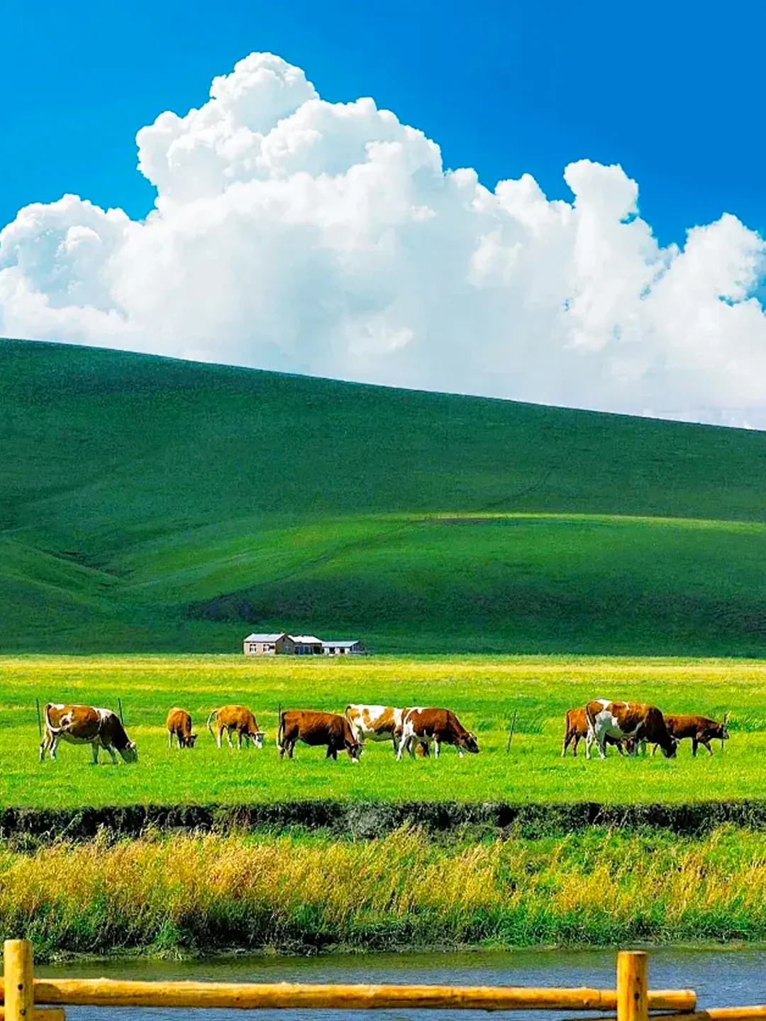 5e66fd9757de2b28d67098b712a80dd6-sz_1128158