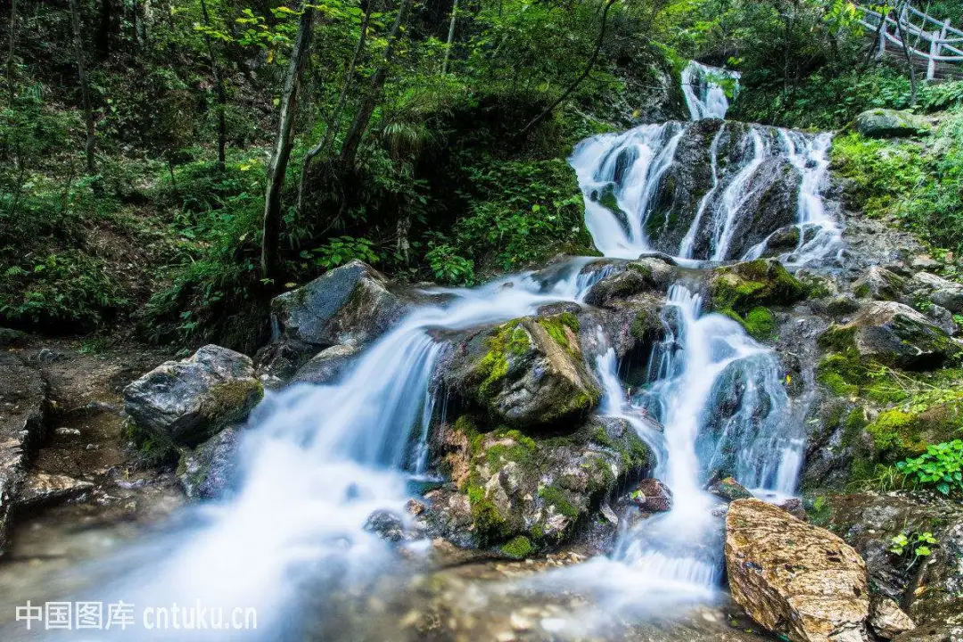 5f30b98ad3a83f4f9f1c3e80fbfe9d72-sz_282422