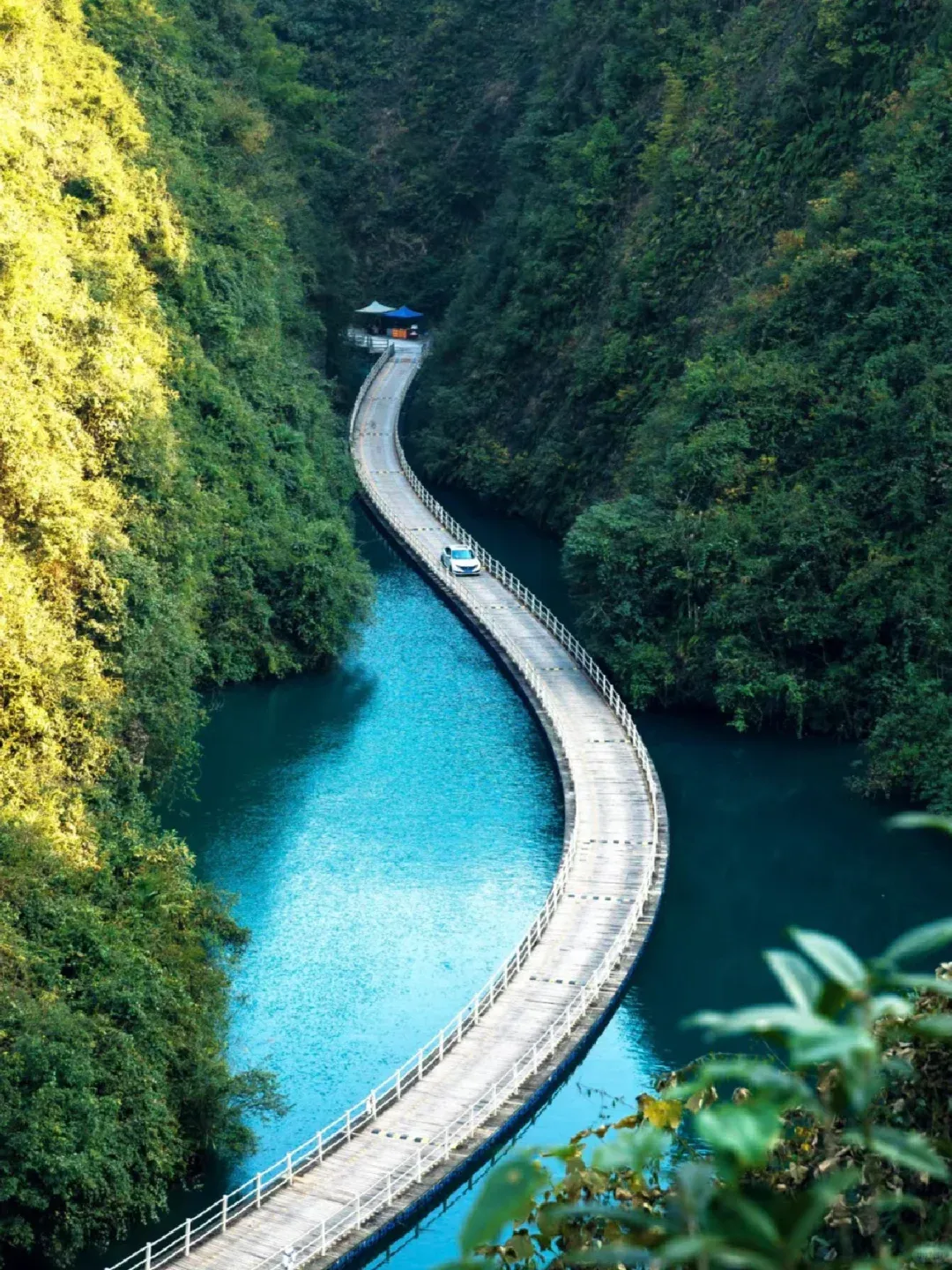 【峡谷柔情❤️恩施大全景】100%真纯玩🈯全新升级9大景点🚆双卧7日游2️⃣5️⃣9️⃣0️⃣元/人起