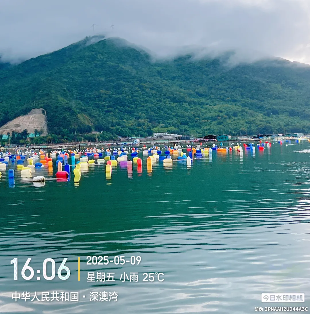 5fb39b753455fae54b9f2f3fd4ddadac-sz_2231779-1