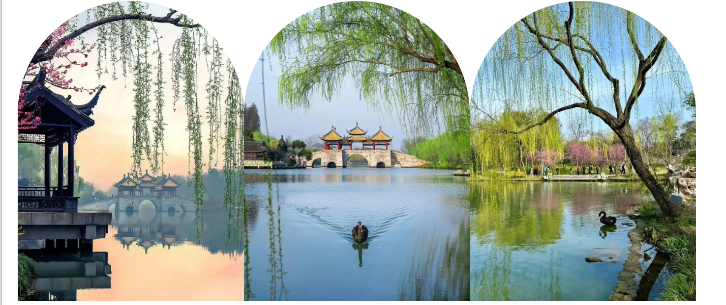 5fe3743ad940a6012f18c39ce7305c9f