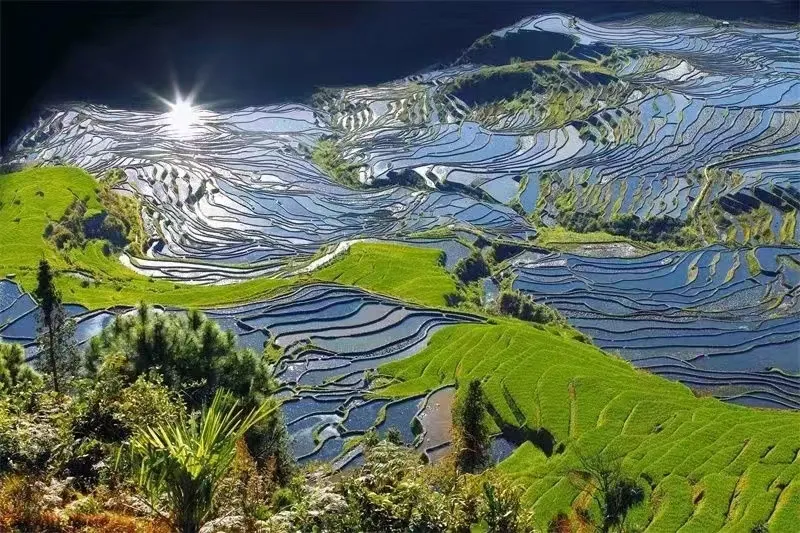 5fed392bbd68baa7156e0125fc732ede-sz_1035483