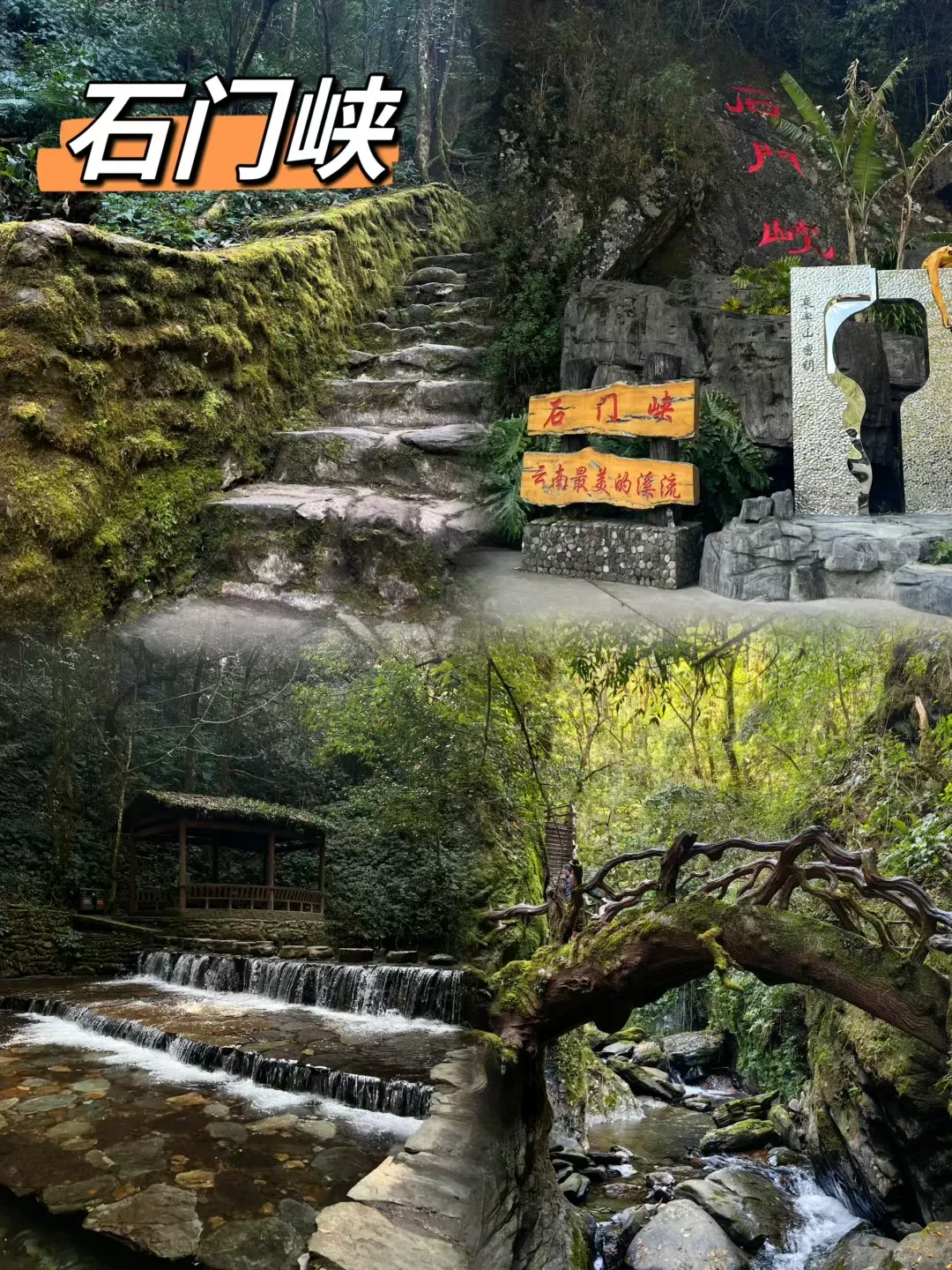 601252af5a43d695ffa41154e58e9cc1-sz_4027262