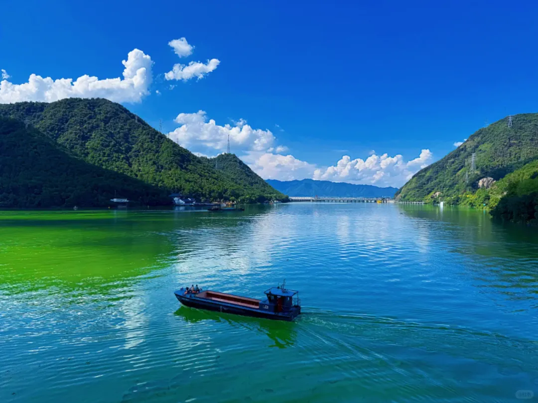 604e9a149ba55456e2e5dfe841281c39-sz_1401187