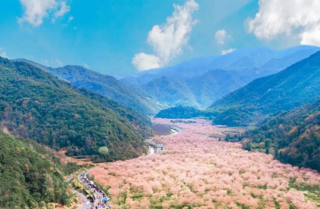 607dc1462acd708ad839e64ea28d89d3-sz_125025